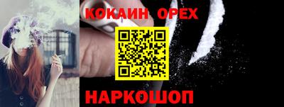 сатива Ставрополь
