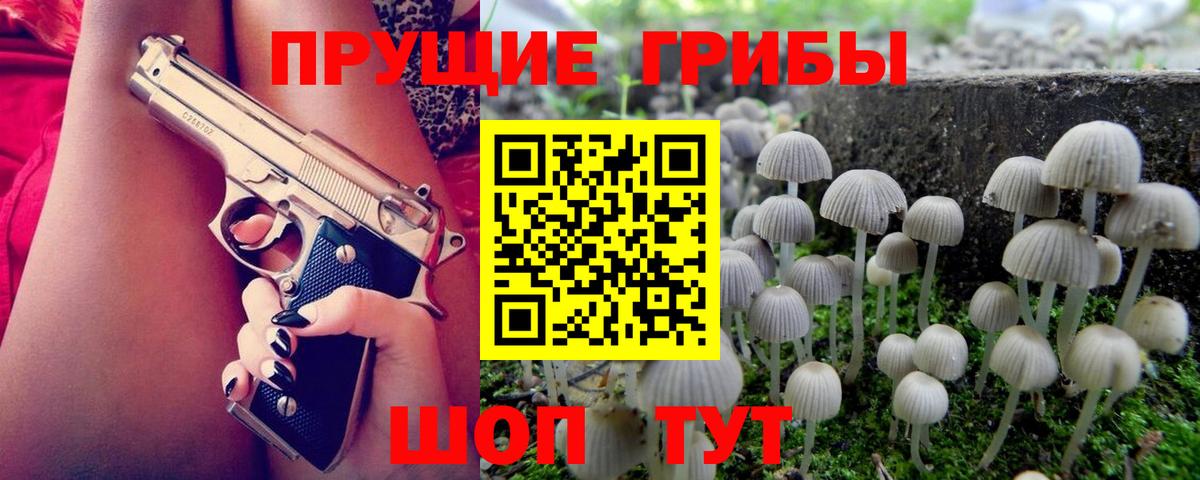 Электросталь  Псилоцибиновые грибы прущие грибы  закладки  Вход с VPN 