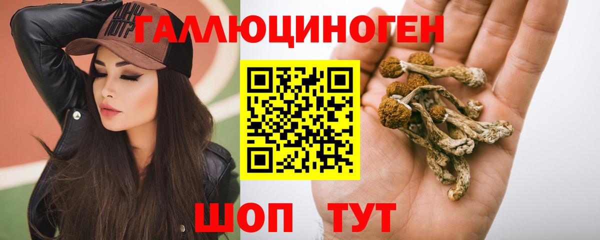Галлюциногенные грибы мицелий Электросталь